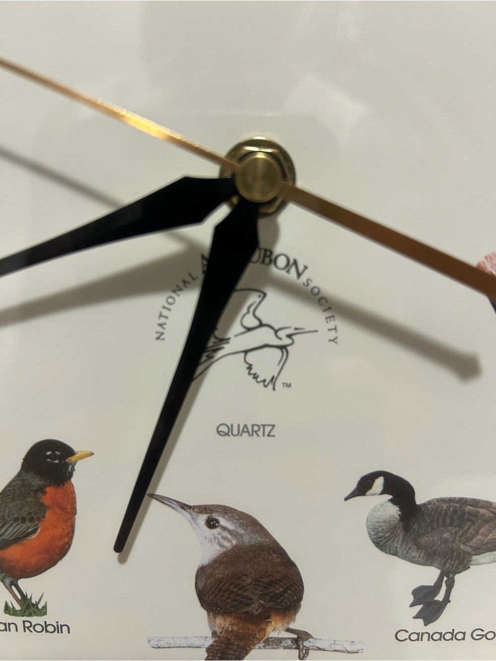 Vtg 90s National Audubon Society Singing Bird Clock 13" Oak Colored Frame TESTED - Picture 6 of 6